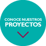 Conocé nuestros proyectos