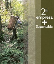 Cesto con ingredientes naturales de productos Natura Ekos.
