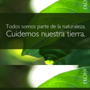 Frase: Todos somos parte de la naturaleza. Cuidemos nuestra tierra, con vegetación de fondo.