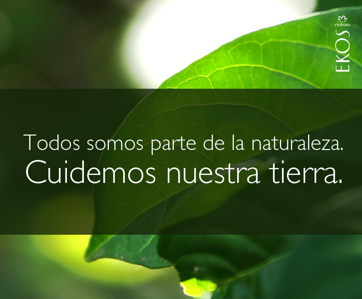 Frase: Todos somos parte de la naturaleza. Cuidemos nuestra tierra, con vegetación de fondo.
